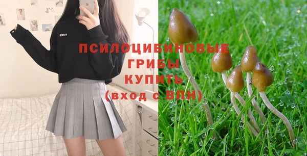 спиды Алзамай