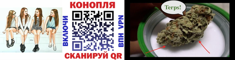 купить наркотики сайты  Тамбов  Каннабис LSD WEED 